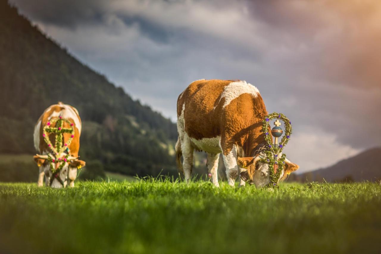 Der Anderlbauer Am See Schliersee Exteriör bild